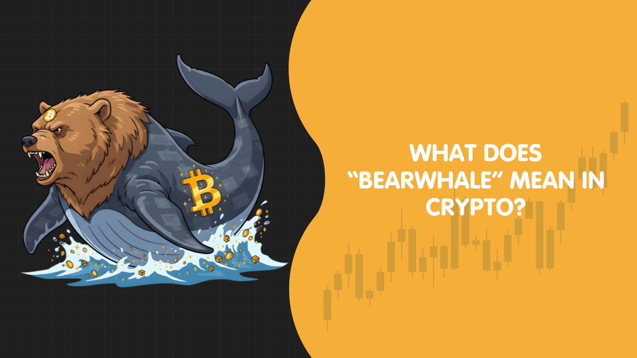 What Does “Bearwhale” Mean in Crypto?